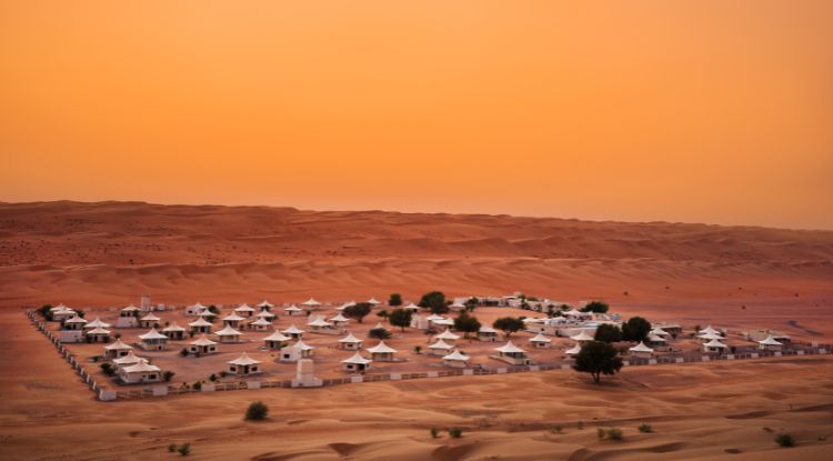 Desert Nights Camp